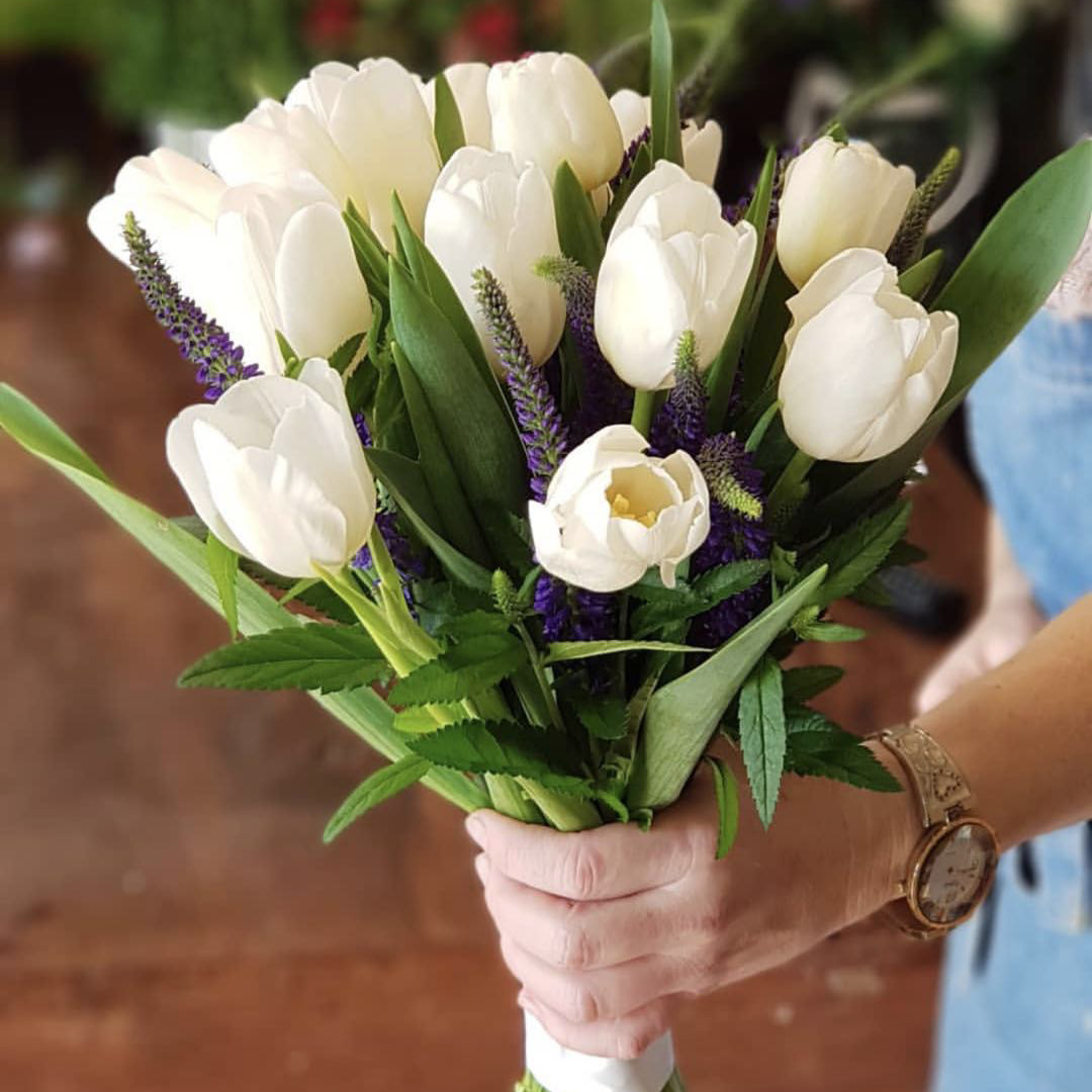 鲜切花 进口鼠尾草 白色